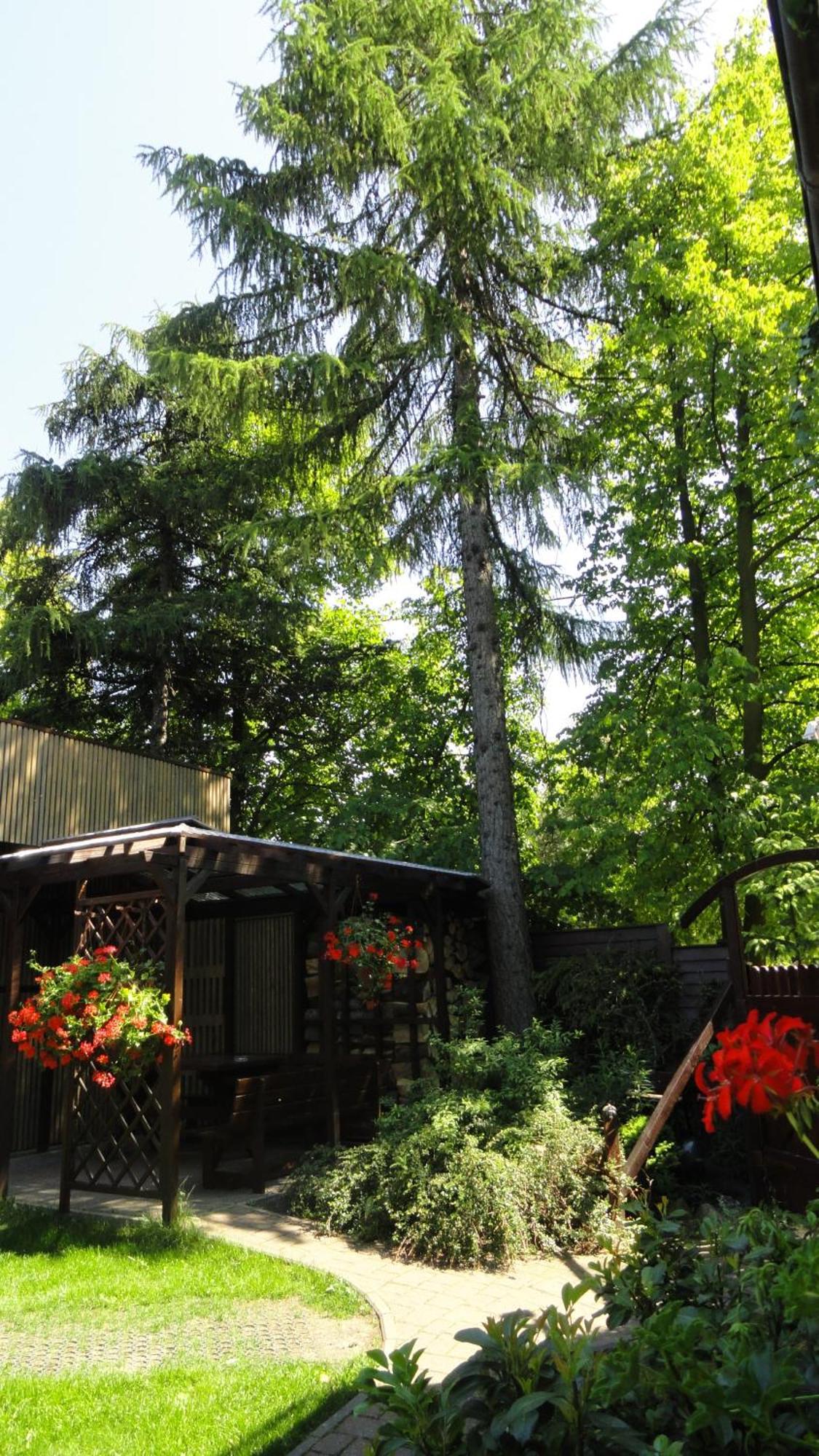 Villa Zosienka グダニスク エクステリア 写真
